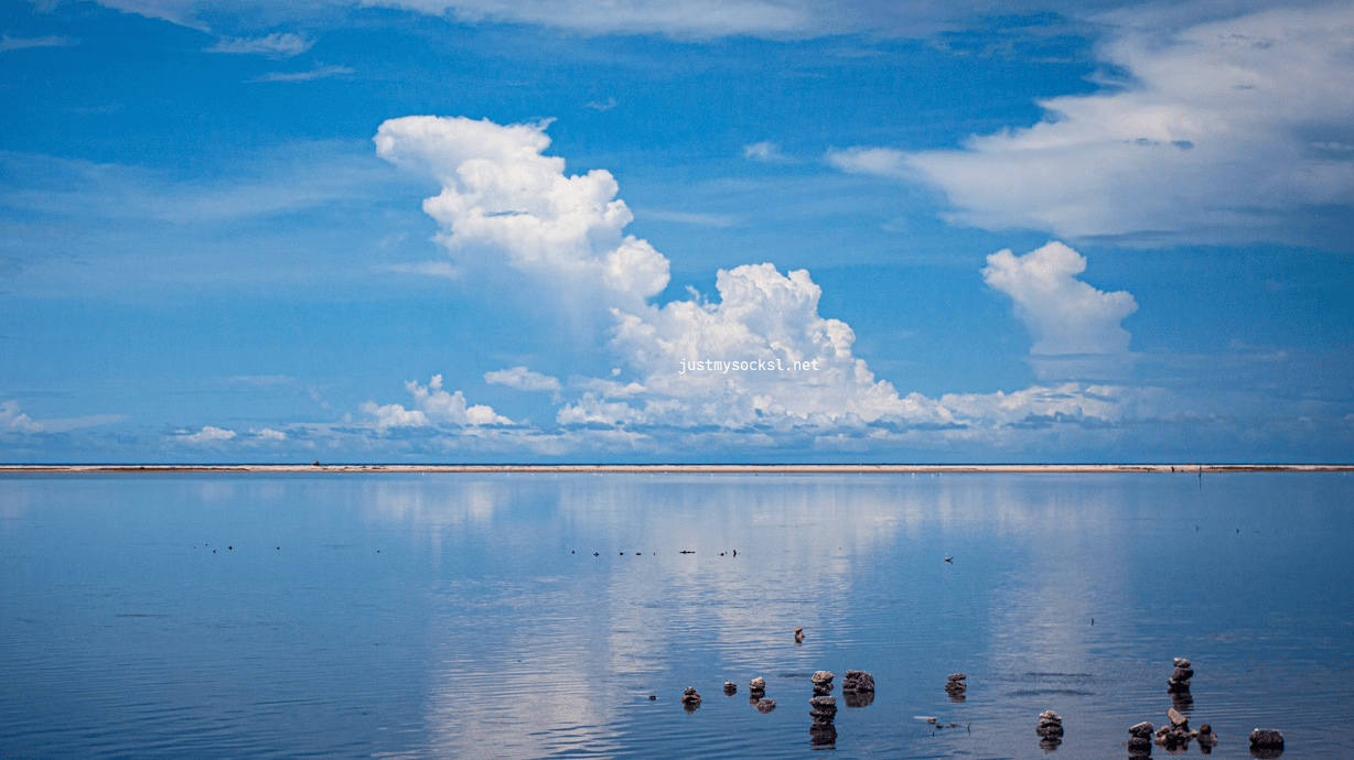 Just My Socks官网地址、优惠码更新 - 第1张图片 | JustMySocks Just My Socks官网地址、优惠码更新 - 第1张图片